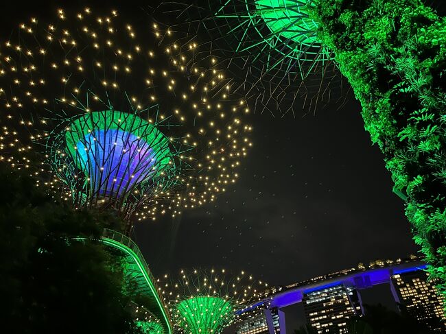 シンガポール2日目は、動物園とガーデンズバイザベイです。