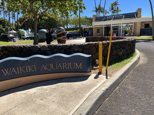 ワイキキからダイアモンドヘッドに向かう海沿いにある水族館、ちょっと気になりませんか？<br />動物園にはいったことがあるので、今回、ヒルトンハワイアンビレッジからトロリーと徒歩で行ってみました。