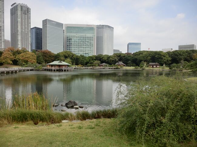 ANAで行く母親と一緒に東京珍道中旅行 Part8　浜離宮へお散歩編