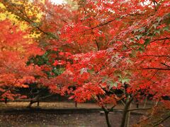 曽木公園の紅葉