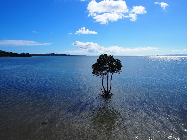 1週間滞在した黒島を出発して石垣島へ戻ります。<br />1週間って短い…もっと長く黒島に居たかったなぁー。<br /><br />明後日の朝一の飛行機で羽田に戻るので最後に石垣島の絶景ポイントをレンタカーで巡ります。<br />今回の目標は屋良部岳と野底岳(野底マーペー)へ登ること。<br />屋良部岳はいつもドン曇りで天候に恵まれてなかったけど、今回は天気が良くて最高でした。(#^.^#)<br /><br /><br /><日程><br /> 2023/09/17(日):羽田→(直行便)→石垣島<br /> 2023/09/18(月):石垣島→黒島<br /> 2023/09/19(火):黒島<br /> 2023/09/20(水):黒島<br /> 2023/09/21(木):黒島<br /> 2023/09/22(金):黒島<br /> 2023/09/23(土):黒島<br />●2023/09/24(日):黒島→石垣島<br />●2023/09/25(月):石垣島→(直行便)→羽田<br /><br /><交通><br />羽田空港←(往復)→石垣空港 = \31,540<br />石垣空港←(カーリー観光)→離島ターミナル \500 * 2 = \1,000<br />石垣→(八重山観光フェリー)→黒島:\1,680<br />黒島→(安永観光)→石垣:\1,620(WEB割引)<br />レンタカー(ククルレンタカー・軽自動車1day):\4,500(リクルートポイント利用)<br />ガソリン代:\1,636(8.39L*\195/L)<br />●合計 \41,976<br /><br /><宿泊><br />石垣:なりわホテル(素泊まり)\5,000<br />●合計 \5,000