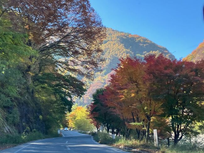 ３日目は、岐阜県の中津川に栗を食べに行く予定でした。しかし、ちょうど３連休初日で人出も多そうだし、中央高速で向かうのは混雑も予想されるので、「酷道」として有名な国道152号を南下し、飯田あたりから中央自動車道に乗ろうと出発しました。<br /><br />ところが、杖突街道・秋葉街道（国道152号）を走るうち、途中で見かけた中央構造線の露頭が面白くなり見物に時間がかかったので、目的地に到達するのが難しくなりました。