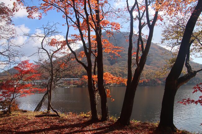 前日の登山の疲れを伊香保温泉でいやし<br /><br />今日は紅葉を楽しみながら榛名湖を一周です。<br /><br />やはり紅葉は例年より1週間位遅れているようですが<br /><br />充分楽しむことが出来ました。<br /><br />チョットしたアクシデントがあり動揺しましたが・・・
