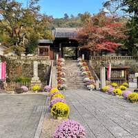11月の連休旅：修善寺温泉