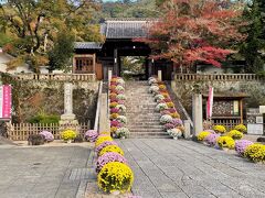 11月の連休旅：修善寺温泉