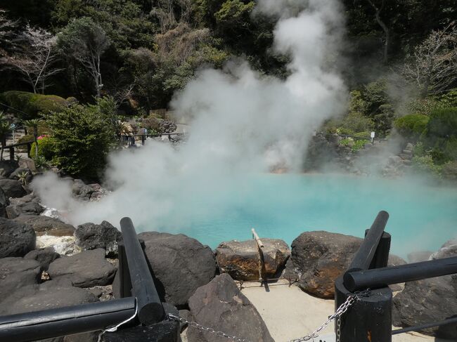 大分別府温泉の旅・二日目は宿泊のホテル＆リゾーツ別府湾から車で15分程の別府温泉の観光スポット・地獄巡りをしました。別府の中心地にある鉄輪温泉地区にある自然湧出の源泉で、それぞれ個性のある7つの地獄です。先ず温泉街の西側の亀川温泉にある国指定名勝の血の池地獄と龍巻地獄。日本で一番古い天然地獄で「赤い熱泥の池」で池一面が血の様な赤さで正しく地獄の様相。一方の龍巻地獄は間欠泉で豪快に噴き出す熱水は約30m程噴き出します。そこから車で5分程の鉄輪温泉にかまど地獄・鬼山地獄・白池地獄・海地獄・鬼石坊主地獄があります。白池地獄と海地獄は国指定名勝です。まず駐車場のあるかまど地獄は1丁目～6丁目迄の様々な熱湯の池が並んでいます。次の鬼山地獄はワニ地獄と言われ、温泉熱で約80頭のワニを飼育しています。あまり感心しませんでした。白池地獄は落ち着いた和風庭園にある地獄で、噴出時に透明な湯が池に入ると青白く変化する美しい地獄です。そこから坂道を上った所にあるのがTVでもなじみのコバルトブルーの美しい海地獄、最大の規模を誇っています。地獄と言うより天国の様です。その隣に7番目の鬼石坊主地獄が灰色の熱泥を沸騰させて待ち構えています。恐ろしい光景です。地獄巡りの後、豪快な姿の由布岳麓を通って人気の由布院へ。