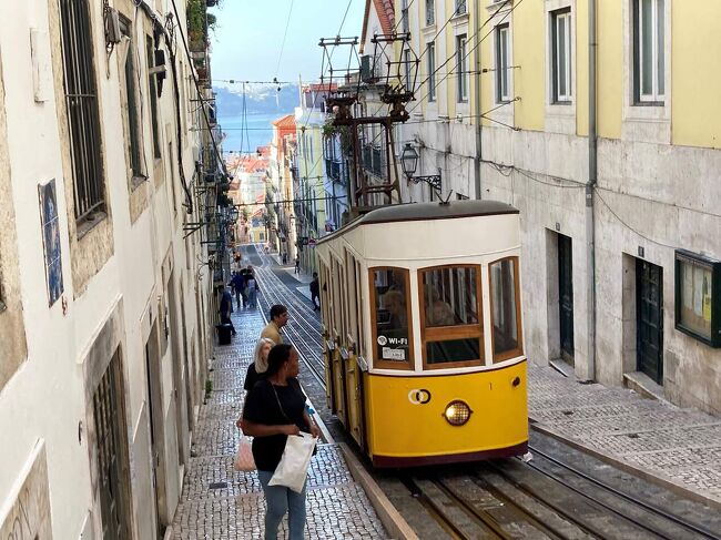 リスボンは観光客にも優しい都市である。市民の皆さんは、おおむね親切でおっとりしているし、ガイジンと関係しそうな人はほとんど英語が通じる。10月の声を聞いても青空は高くて明るく、昼間は半袖でちょうどよいくらい。旧市街のバイシャ地区やバイロ・アルト地区にはヨーロッパや北米からの旅行者がいっぱい居て、街中をぶらぶら、坂道をふうふう。カフェでおしゃべりし、レトロな市電の座席からのんびりと街中見物。悲しいかなニッポン人はほとんどいないし、中国人の数も気づかない程度。円安でリスボンの物価は東京の値段かそれ以上なので、値札やメニューを見るたびに怒りとショックが収まらない。そんな邪念に憑りつかれながらのリスボンの街中歩きだった。