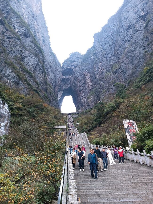 湖北省張家界といえば映画アバターの舞台となった奇岩の渓谷、武陵源がある風光明媚な場所。昨年ここにやって来て天気が悪い上にコロナ騒ぎに巻き込まれひどい目にあったのだが、今年はかろうじて天候にも恵まれ、景色を堪能することができ何とか挽回することができた。不便な場所だが上海からは吉祥航空が飛んでおり、Youtubeで人気の李姉妹は中部空港から吉祥航空を乗り継いで張家界に来たことで有名。初日は天門山へ。<br /><br />上海浦東一張家界 HO1047<br />11-03 07:10 至 09:30<br />張家界一上海浦東 HO1048<br />11-05 10:45 至 13:00 往復1260元