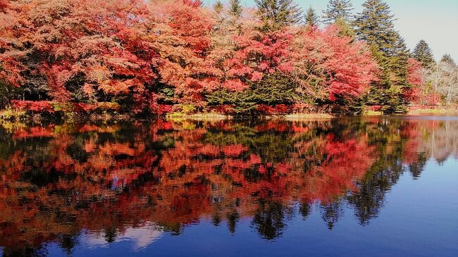 2023年11月8日～紅葉見頃の軽井沢～小諸懐古園、上田城、佐久平に新規オープンの素敵なホテル