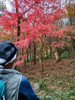 ?肩のむこうに　あなた　山が燃える???