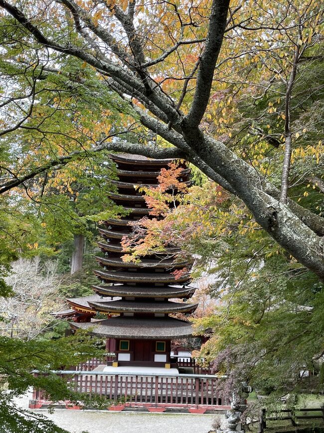 少し早い紅葉を見に<br />大好きな奈良、京都にやってきました。<br />１泊してゆっくり秋を楽しみます。<br />奈良、京都の王道でなく、<br />自分の好きな小道や空気を感じるのが<br />大好きです。