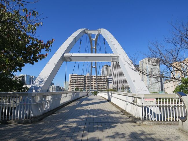 大井町から旧東海道～天王洲ベイエリア散策<br /><br />駅からハイキング　秋の湾岸エリアウォーキング・水と歴史の街めぐり<br />2023年11月1日～11月8日　<br />ＪＲ大井町駅中央口改札外 スタート<br />①来福寺<br />②品川寺<br />③品川神社<br />④北馬場参道通り<br />⑤東品川海上公園<br />⑥天王洲ふれあい橋<br />⑦高浜運河沿緑地<br />東京モノレール天王洲アイル駅 ゴール<br />所要時間：約3時間<br />歩行距離：約7.5ｋｍ<br /><br />暑かった夏も峠を越え、ようやく歩きやすい季節になってきました。<br />久しぶりに駅からハイキングに参加しました。<br />途中省略したり、順序を変更して歩きやすくして、疲れないコースに変更しました。<br />