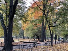 秋真っ盛りのポーランド南部(o^^o)ワクワクする町を歩いて来ましたぁ②紅葉のクラクフは大人の世界