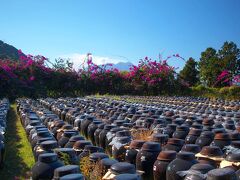 日本初の黒酢レストランで黒酢ランチと紅葉の霧島・垂水　日帰り（2021年11月）