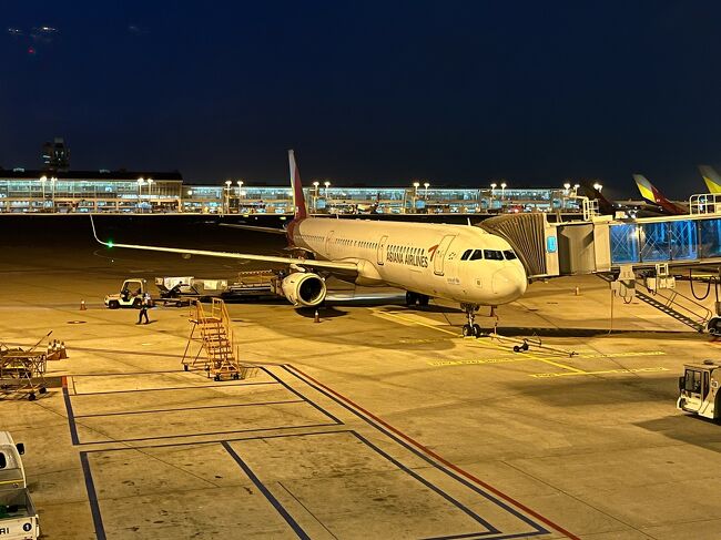 11日間の中央アジア旅行もいよいよ終了。仁川空港から関西空港に帰国した際にアシアナ航空を利用しました。<br /><br />＜中央アジア旅行＞<br />9/20 関西(10:50)→ソウル/仁川(12:40/16:35)→タシケント(20:20)<br />        タシケント(泊)<br />9/21 タシケント観光<br />        タシケント→ヒヴァ<br />　　  車中(泊)<br />9/22 ヒヴァ観光<br />　　  ヒヴァ(泊)<br />9/23 ヒヴァ→ブハラ<br />　　  ブハラ観光<br />　　  ブハラ(泊)<br />9/24 ブハラ観光<br />　　  ブハラ(泊)<br />9/25 ブハラ→サマルカンド<br />　　  サマルカンド観光<br />　　  サマルカンド(泊)<br />9/26 サマルカンド→ペンジケント<br />        ペンジケント観光<br />　　  ペンジケント(泊)<br />9/27 ペンジケント観光<br />　　  ペンジケント→サマルカンド→タシケント<br />9/28 タシケント→シムケント<br />        シムケント観光<br />　　  シムケント(泊)<br />9/29 シムケント観光<br />　　  シムケント→タシケント<br />　　  タシケント観光<br />　　  タシケント(22:00)→ソウル/仁川(8:15)<br />　　  機中(泊)<br />9/30 ソウル観光<br />        ソウル/仁川(19:15)→関西(21:05) ★