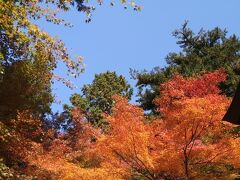 丹波篠山　もみじ三山