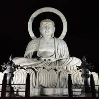 夜の高岡駅前を歩いてみた