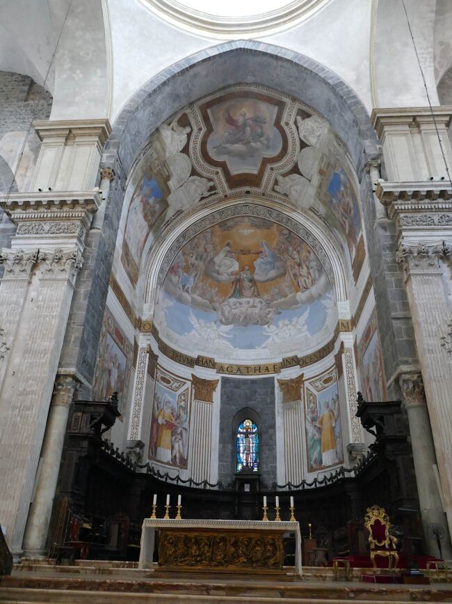 急遽決めた一週間のシチリア旅行。滞在するカターニアを中心に観光しました。5日目にはエトナ山とタオルミナ観光のツアーに参加。少し動き回りました。残りの日はカターニアの大聖堂を見に出かけたほかはホテルで過ごしました。<br />この旅行記は6日目から自宅のあるドイツに戻るまでの旅行記です。<br /><br />