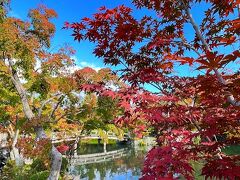 秋の京都へ３日目の１　永観堂　南禅寺