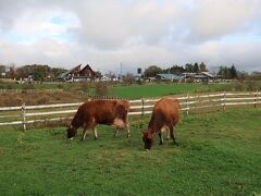 大山まきばみるくの里