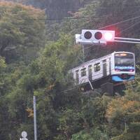 雨の伊東街歩き。季節外れの桜に出会う。