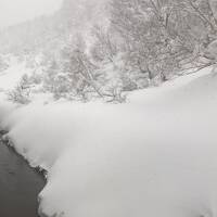 コロナ中だけど・・・初めての冬の東北一人旅 ①青森アウガ・酸ヶ湯温泉