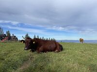 秋真っ盛りのポーランド南部(o^^o)ワクワクする町を歩いて来ましたぁ⑤山岳リゾート地ザコパネでトレッキング