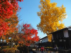 高山経由で北陸へ ①飛騨高山・古川でまちあるき 紅葉見頃でした