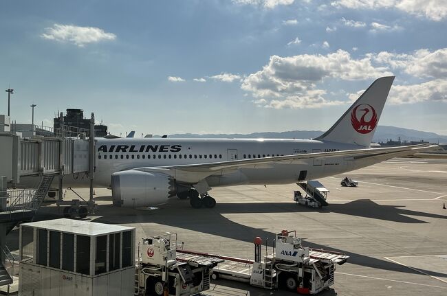 ⑬マダムの暮らすように旅する福岡＋佐賀　11月　６日目　博多～福岡空港～羽田空港～自宅