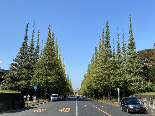 この日は神宮外苑を散策。<br />暖かい日が続き木々の葉はまだほとんどが緑色をしていましたが、美しい景色を見ることが出来ました。