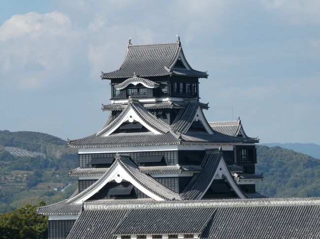 今年3月の松山旅行から半年ぶりの旅は、大学生の時に訪れて以来の熊本です。<br /><br />以前の旅行では阿蘇のドライブや水前寺公園は観光しましたが、熊本城は見なかったので、今度はぜひ・・・<br />また天草が世界遺産になったので、やはり一度は行ってみたい<br /><br />ということで成田空港からジェットスターで行ってきました熊本県！<br />旅の道連れは、前の職場の同僚Oさんです！<br />司馬遼太郎の「街道をゆく～島原・天草の諸道」も読んで準備万端！<br /><br />その１　１０月２７日（金）　天草<br />その２　１０月２８日（土）　熊本市内<br /><br />・・・・・・・・・・・・・・・・・・・・・・・・・・・・・・・<br />１日目は熊本地方は午前中は雨で、一部では雷雨というお天気。<br />熊本城の天守閣にも落雷し、照明装置に被害があったという夜のニュースを見てビックリ！熊本城の観光が今日でなくて良かった～(^-^;<br /><br />２日目は朝から良いお天気で、まさに秋の旅行日和でした!(^^)!
