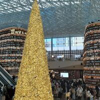 ４年ぶりの海外旅行　～クリスマス前のソウル１泊２日弾丸トラベル（１日目）～