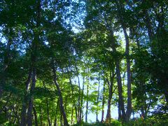 ぶらり立野緑地公園と震生湖～秦野市～