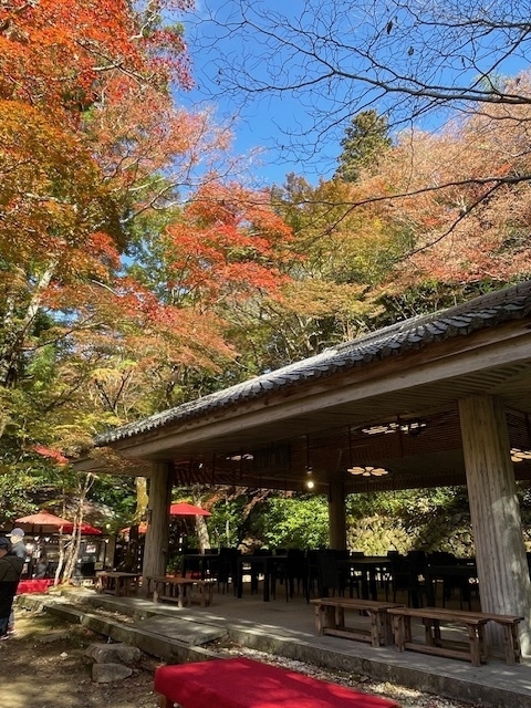 紅葉をもとめて有馬温泉を訪ねます。大阪からだと電車で神戸に行き、ロープウェイで行く方法がありますが、時間がかかります。大阪梅田から阪急高速バスがあるのでバスで行くことにしました。約１時間で有馬温泉に到着です。