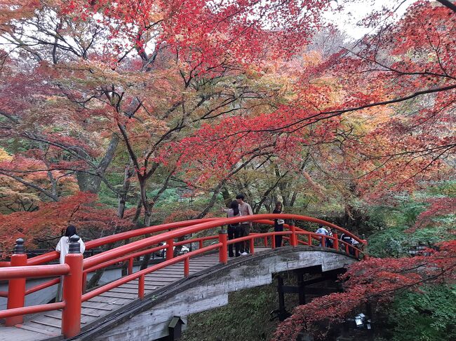 紅葉の伊香保温泉