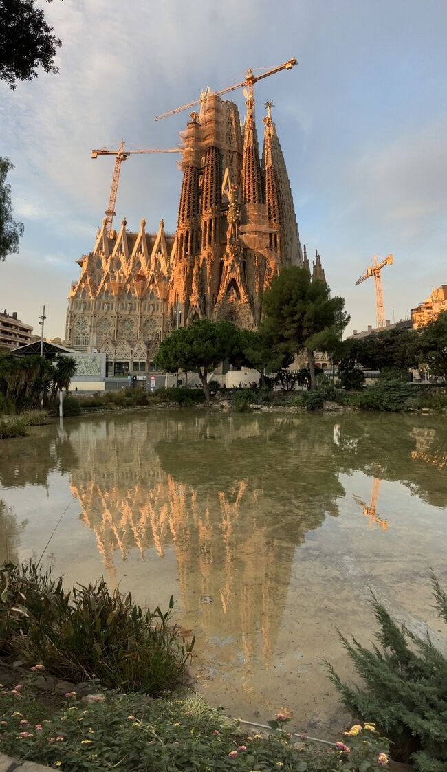 バルセロナ4日目は朝のサグラダファミリアを眺め、ゴシック地区へ。