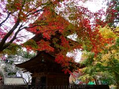 中込サイクリング　小諸懐古園