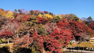 2023年11月15日～3泊 福島 ウルトラマンの街 須賀川～郡山、二本松、本宮の見頃の紅葉狩りの旅