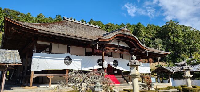 前回訪れた瓦屋禅寺（ ５０年ぶりの秘仏ご本尊特別ご開帳の瓦屋禅寺 https://4travel.jp/travelogue/11862170 ）で手にした「近江発 聖徳太子の足跡めぐり」というパンフレット、そこに今回訪れる正明寺の秘仏特別御開帳のことが載っていました。<br />これが今回正明寺を訪れるきっかけです。<br />正明寺を訪れる前に、日野商人の崇敬をうけた馬見岡綿向神社（うまみおかわたむきじんじゃ）へお参りします。<br />全国で最も多く聖徳太子の文化や物語が伝承されているという東近江地区、これで名刹三ヶ所（石馬寺、瓦屋禅寺、正明寺）にお参りし、そしてそこに安置されている素晴らしい秘仏にお会いすることができました。<br />聖徳太子に感謝ですね。<br />聖徳太子のお札が懐かしいです。<br /><br />【写真は、正明寺の本堂です】