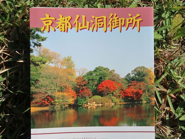 ３日目は予約してあった仙洞御所を見学し、その後<br />七宝焼の並河靖之記念館、清水三年坂美術館<br />を廻ってから京都駅でゆっくりし帰ります。