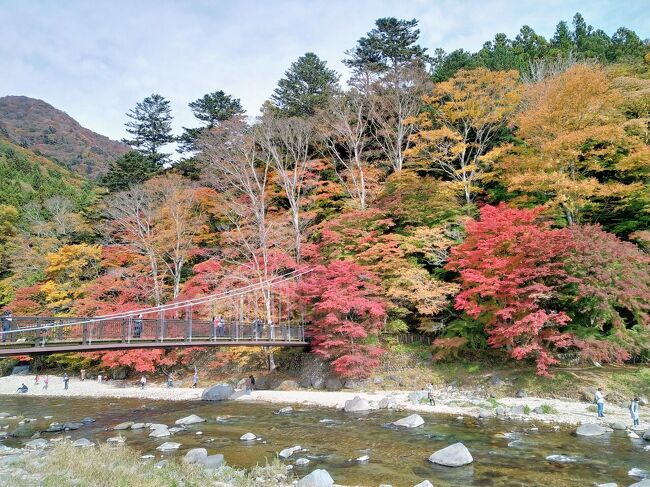 11月といえば都心はまだ紅葉はしていませんが、標高のあるところでは見頃の時期です。<br /><br />日光と悩みましたが、アクセスの良さで那須塩原の紅葉狩りを決行しました。