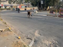 JGP修行でインド発券サンディエゴへ　＃４インド ホテルから空港編