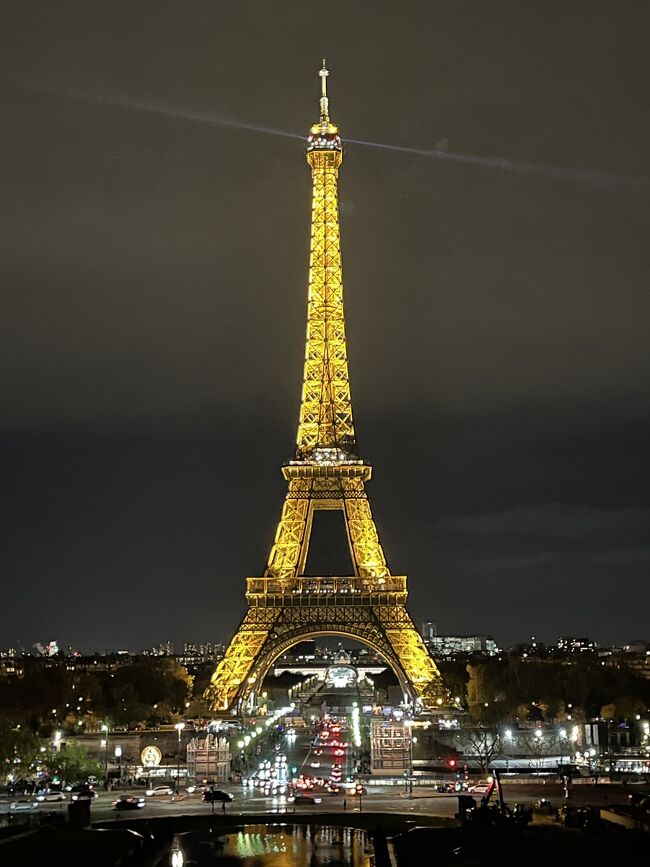夕方、パリに到着。初めて見る夜のエッフェル塔やシャンゼリゼ通りは、ネオン煌めく別世界でした。