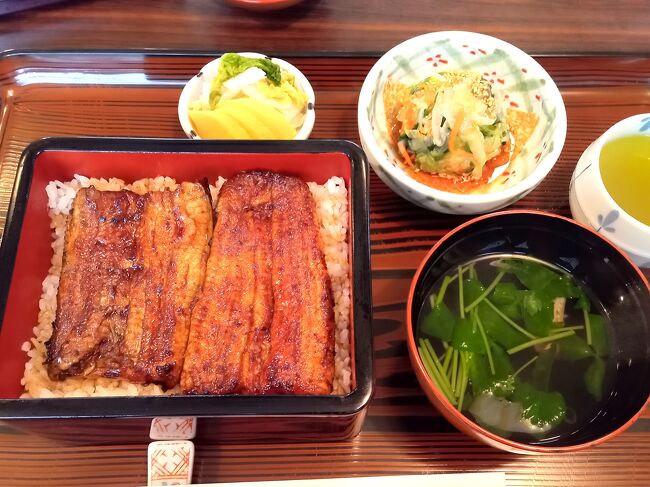 久しぶりすぎる掛川ドーミーイン、夜は近所の焼き鳥屋でしっぽり、朝からサウナで腹をすかせうなぎ食べ行きます。熱海で途中下車して味のあるカフェでパフェ食べました。