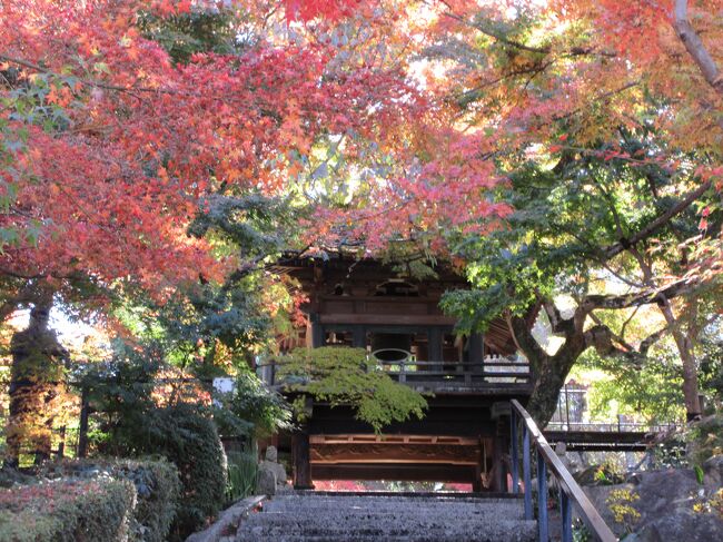 ２０２１年１１月　宇部市船木周辺の神社、お寺をめぐるウォーキング　紅葉も楽しめました。