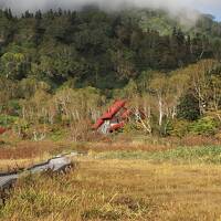 山歩き＊紅葉の栂池自然園　のんびりハイキング