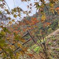 雨の養老渓谷から鴨川へ、老夫婦の小旅行