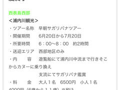 西表島でカヌーツアーでサガリバナを見に行く