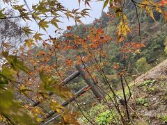 雨の養老渓谷から鴨川へ、老夫婦の小旅行