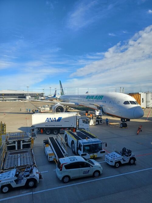 フライト情報- 777-300ER - エバー航空 | 日本 / Japan (日本語)
